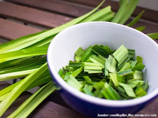 Cara Mengusir Lalat dengan Daun Pandan