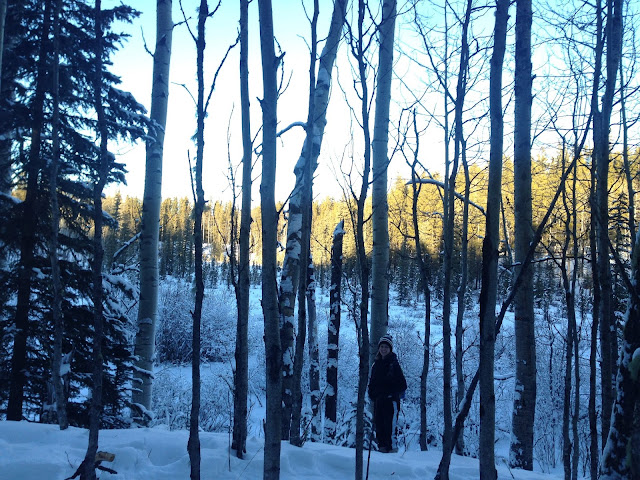 Snowshoe Hare Loop 