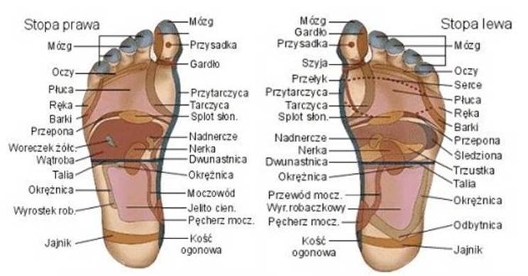 Od Czego Zależy Stopień Dysocjacji Medycyna Chinska: Akupunktura