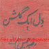 Dil Ek Gulshan Novel