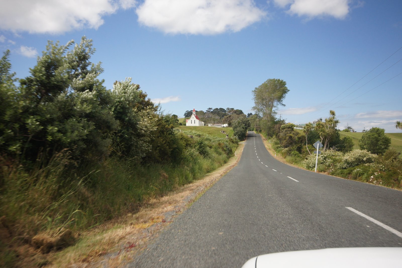 Magi and Sam: Maungaraho Rock south of Dargaville...recommended for ...