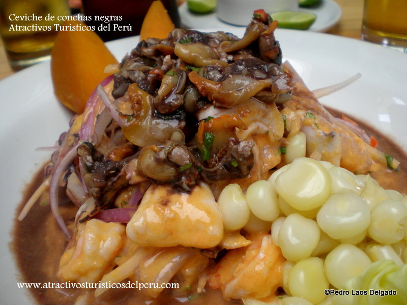 Ceviche de Conchas Negras Atractivos Turísticos del Perú