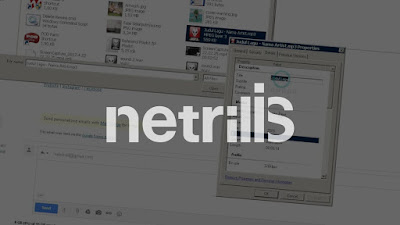 Mengenal Netrilis, Situs Distributor Musik Online Indonesia 