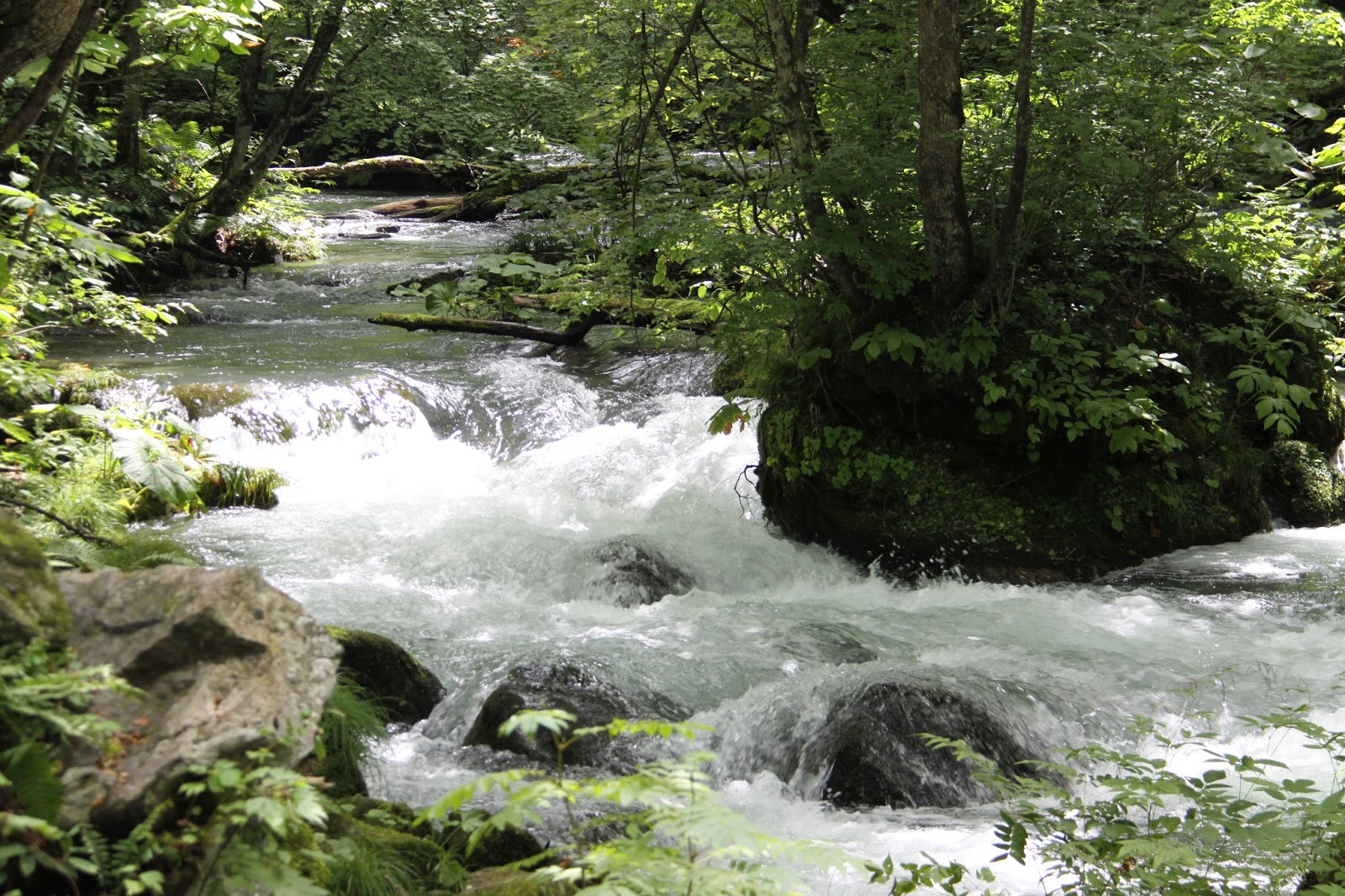 誰が使うの シマノの17カルカッタコンクエストbfs Hgは必要なのか Bassou Net