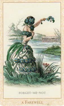 https://2.bp.blogspot.com/-R9wseAX66tQ/T4GYAyRfYYI/AAAAAAAAGn0/6oWNtQsO4J8/s1600/Victorian+Flower+Oracle+Forget+Me+Not+001.jpg