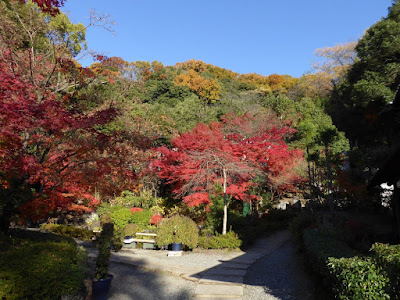 野崎観音・慈眼寺（じげんじ）の紅葉