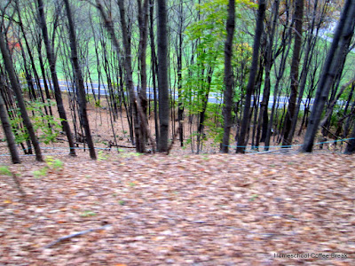 Autumn Colors (Blogging Through the Alphabet) and A Western Maryland Railroad Photojournal on Homeschool Coffee Break @ kympossibleblog.blogspot.com #autumn #steamtrain #railroad