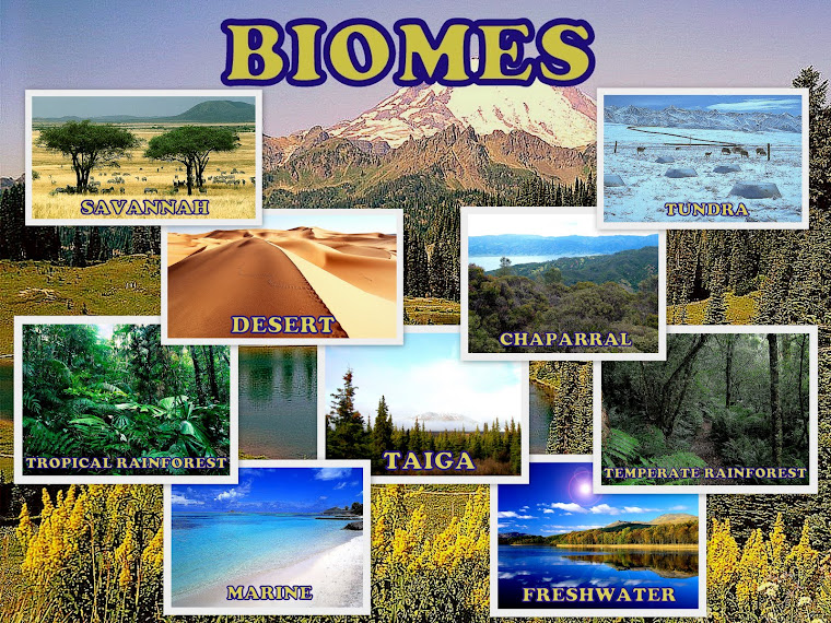 maccused: Biomes of the world!!!!