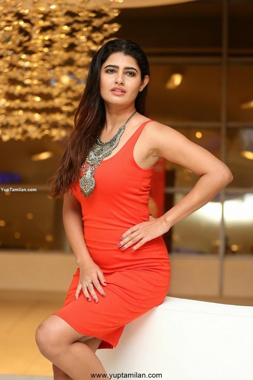 Ashima Narwal Hot & Spicy Photos-Beautiful Pictures