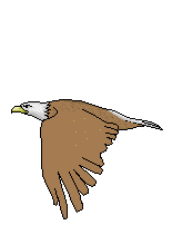 animated animation 3d flying birds clipart animations bundle celebrities powerpoint gifs animal funny