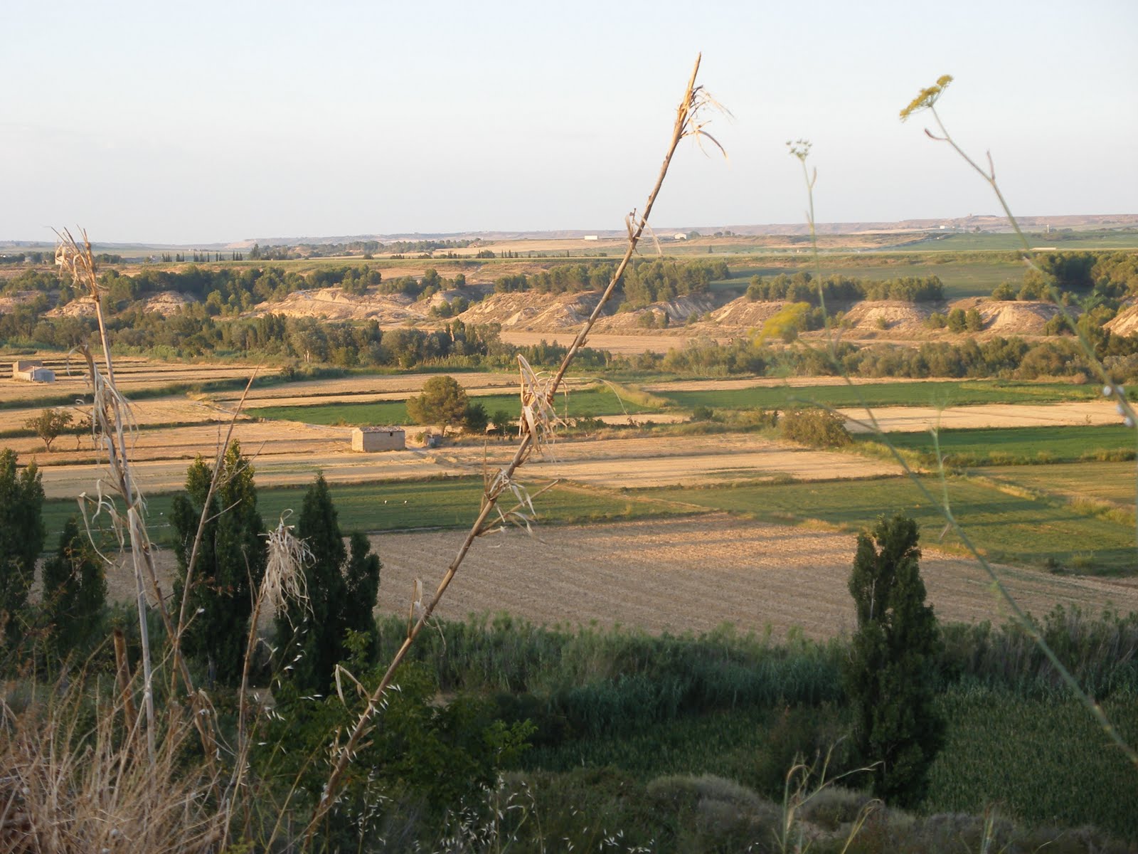 Monegros en bicicleta y caminando. Rodeando Albalatillo