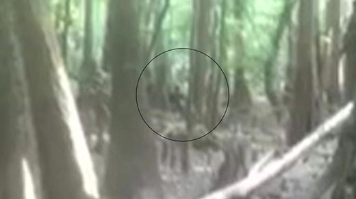 'Hombre Lagarto' filmado en los bosques de Bishopville