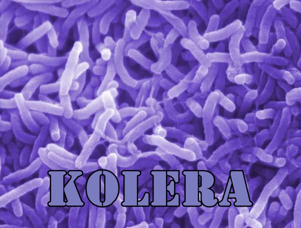 Gambar Pengobatan Tradisional Bakteri Kolera