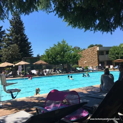 outdoor pool at Flamingo Conference Resort & Spa in Santa Rosa, California