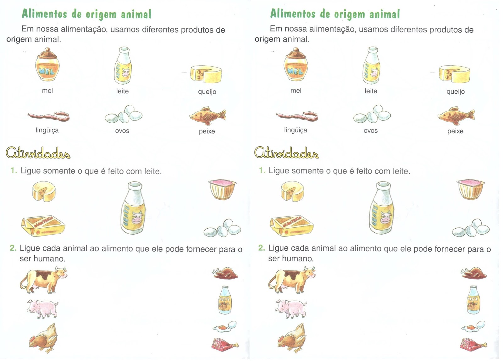 PROFESSORINHA: Reino Animal