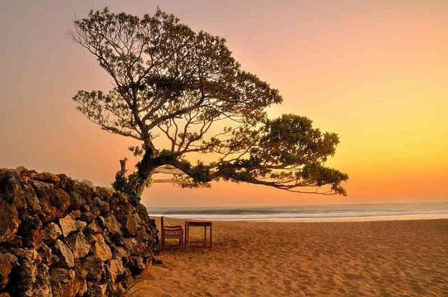 Pantai Pok Tunggal: Satu-satunya Pantai Berpohon Duras di Jogja - Look