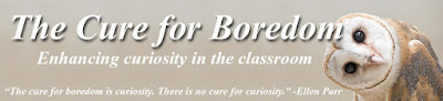The Cure for Boredom: Enhancing Curiosity in the Classroom