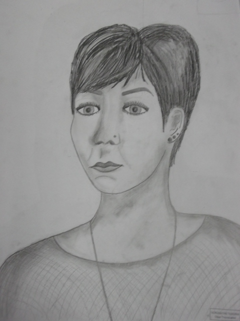 PCA - Art Blog: Junior Cert 2013 - Drawing Exam