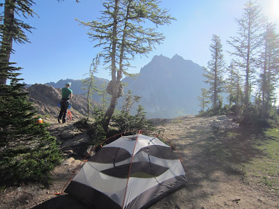 Camp with our packs hung in the tree [Photo courtesy of Sara]