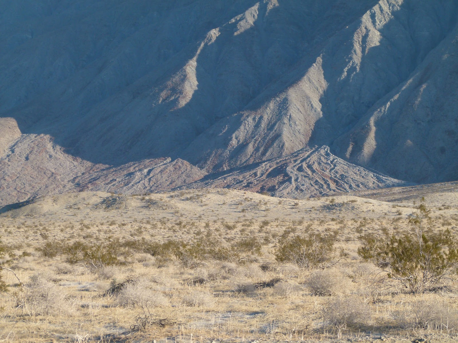 College of DuPageBorrego Springs Field Trip Painted CanyonJanuary 11