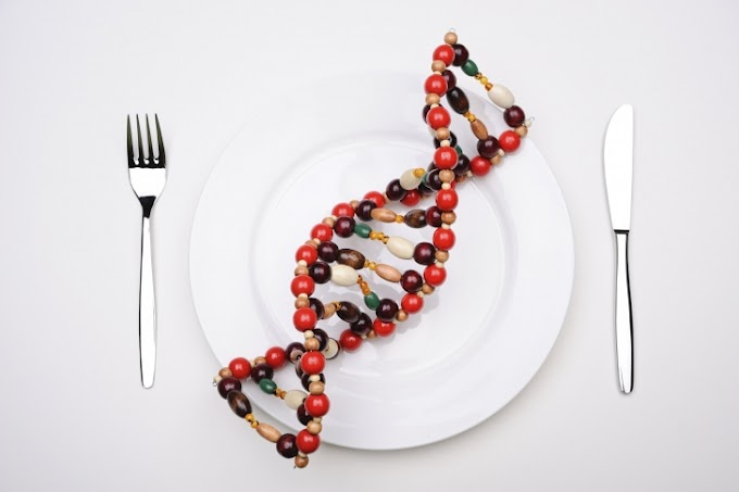Genlere göre özel diyet türleri! 