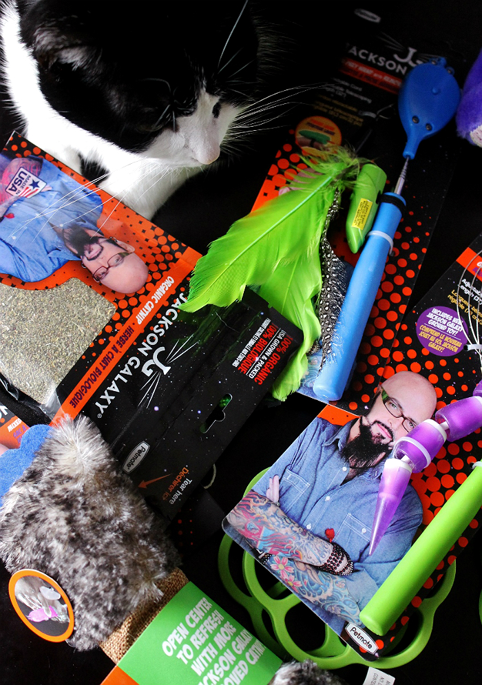 Discover #JacksonGalaxyCatPlay by Petmate toys and enrichment tools at PetSmart and unleash your cat's inner Mojito! Foster a cat's natural instincts to hunt, catch, and kill with these colorful and engaging cat toys! #Sponsored