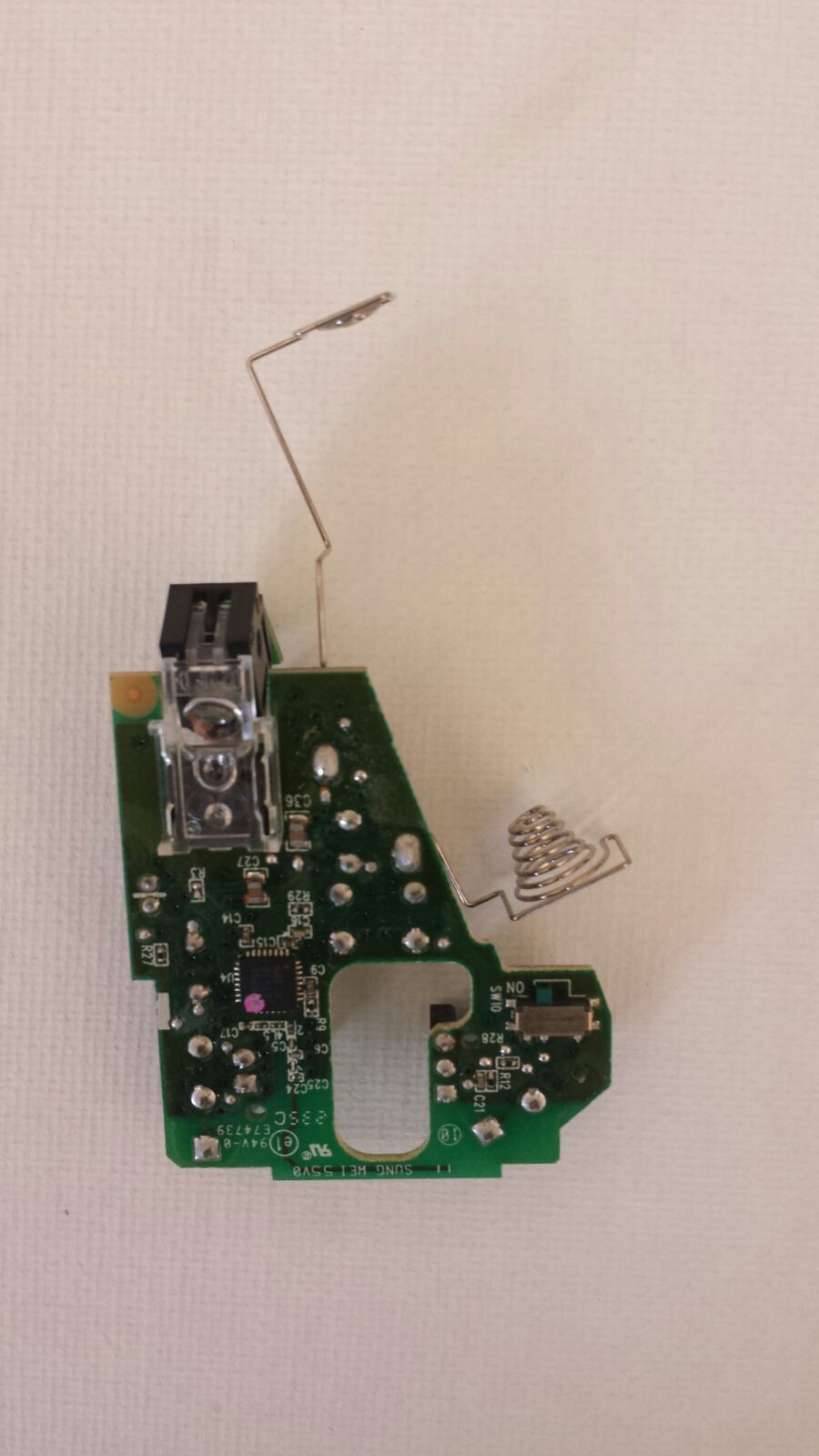 ammai anatomy of the mouse