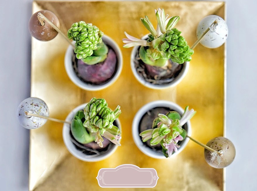 Creatief met bloembollen Creatief met bloembollen