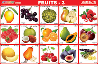 Fruits 3 chart contains different images of fruits