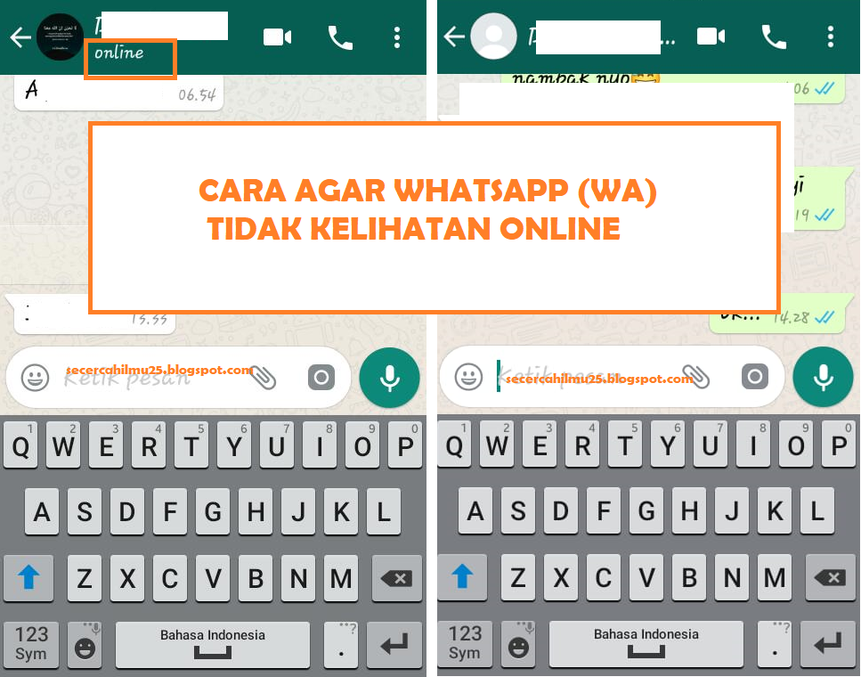Bagaimana Cara Membuat Agar Whatsapp Tidak Kelihatan Online? ~ Secercah