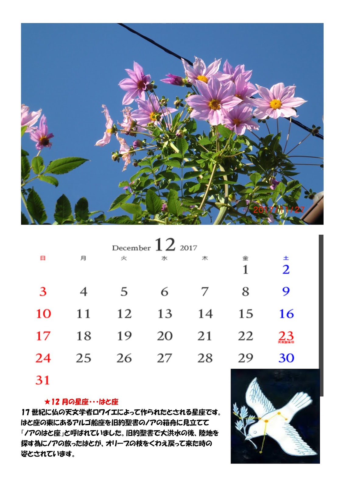 8月の異名「葉月」 語源からは早くも秋の気配（2020年8月5日）｜BIGLOBEニュース