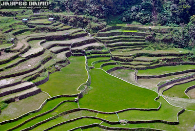 Banaue Rice Terraces, Ifugao, North Philippines, Baguio, Banawe, Eighth 8th Wonder of the World, UNESCO Heritage, Tourism, Michael Roudebush, Paul Rush, Kyle Degraff, Jamie Susara