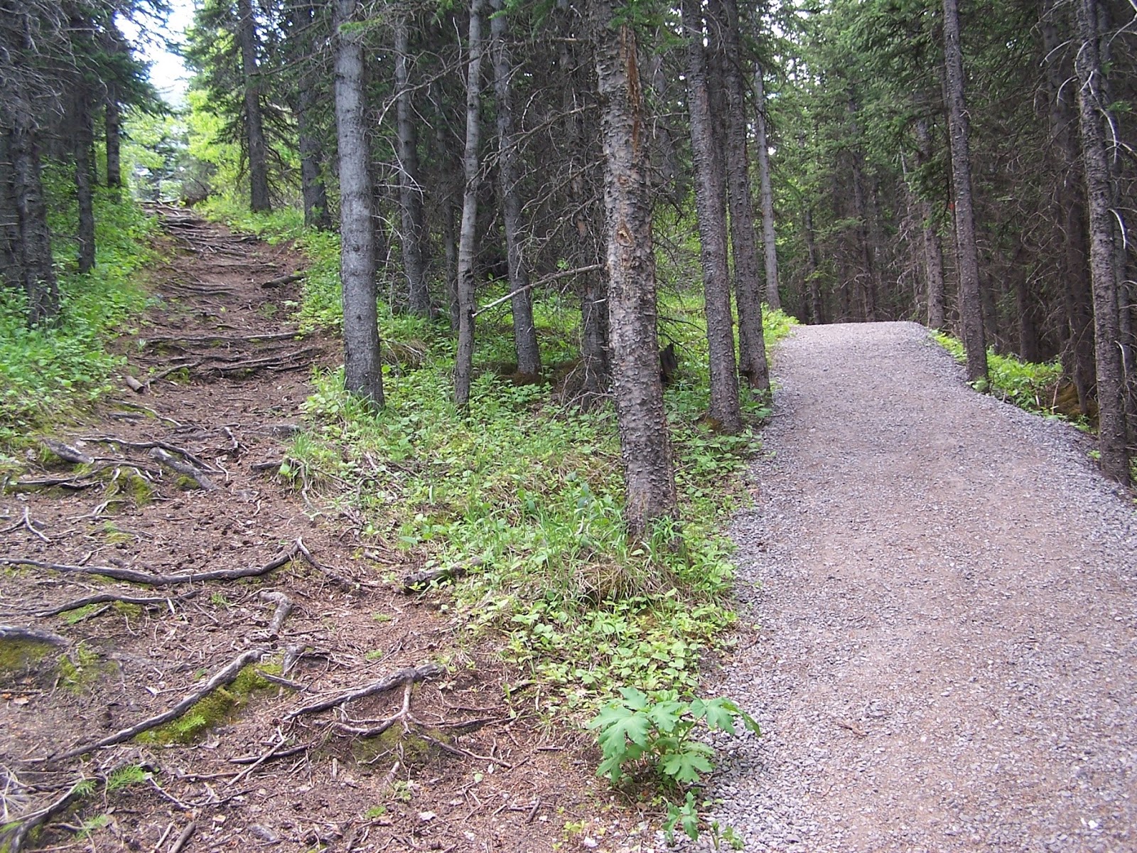 「fork in the road」の画像検索結果