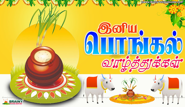  Tamil Pongal Greetings for Wallpapers online, Tamil Pongal Messages and Wallpapers Free, Awesome Tamil Language Pongal Lines online, Happy Pongal Best Greetings and Messages, Tamil Pongal Quotations online, Tamil Pongal SMS for Gf, Tamil Pongal Festival Quotes & Wallpapers, Tamil New Pongal Festival Greetings and Gifts Cards Online.tamil Pongal 2016 Greetings and Messages in Tamil Language, Popular Tamil Makara Sankranti Wallpapers with Nice QUotations, New Tamil Language Makara Sankranti Wishes for Friends, Makara Sankranti Tamil Greetings online, Makara Sankranti Tamil Festival Celebrations, Makara Sankranti Pot Images and Nice Kavithai Greetings, Tamil Popular Makara Sankranti Quotations Free.