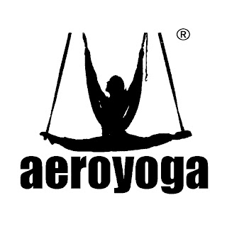 Formación Yoga Aéreo para Profesores del Levante, Valencia, Murcia, Alicante, Xativa, Castellon, Baleares...