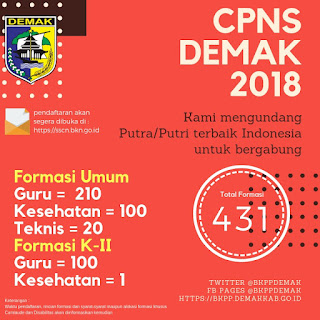 formasi cpns demak 2018
