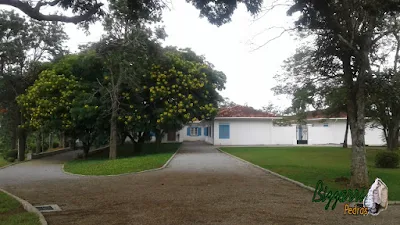 Piso de pedra com pedrisco cinza, com as guias de pedra em estrada da sede da fazenda em Atibaia-SP com o gramado com grama batatais e grama amendoim.