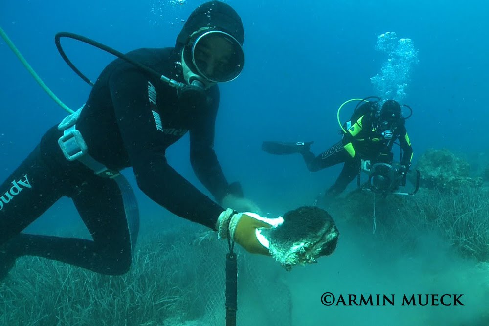 Film Photo Adventure Kalymnos The Sponge Diver Island