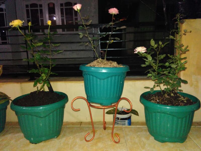  Rak  untuk tanaman hias Rak  Pot Bunga Mochamad Ali Dwi 