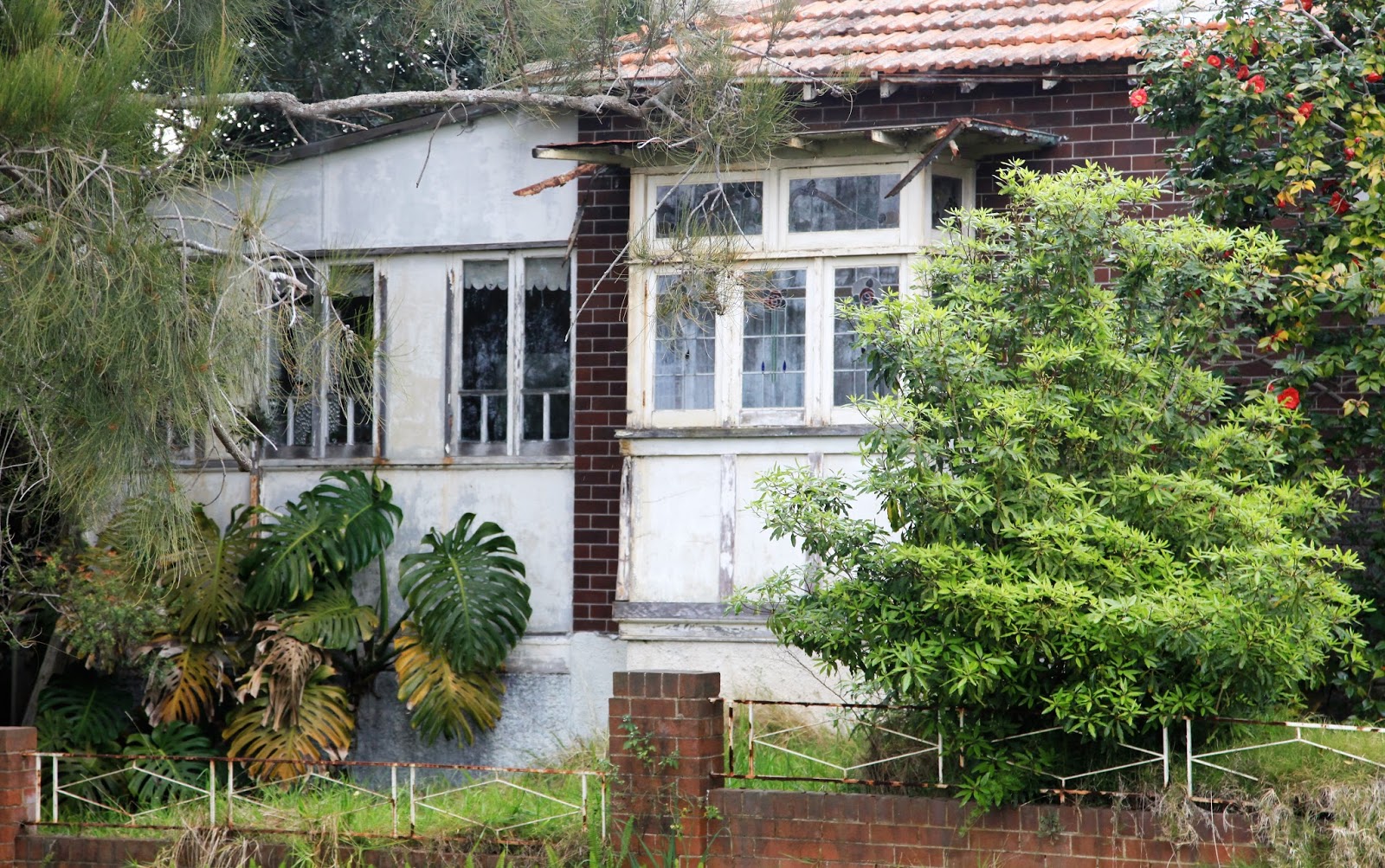 Thru my Sydney Eye Curiosity The Radley House