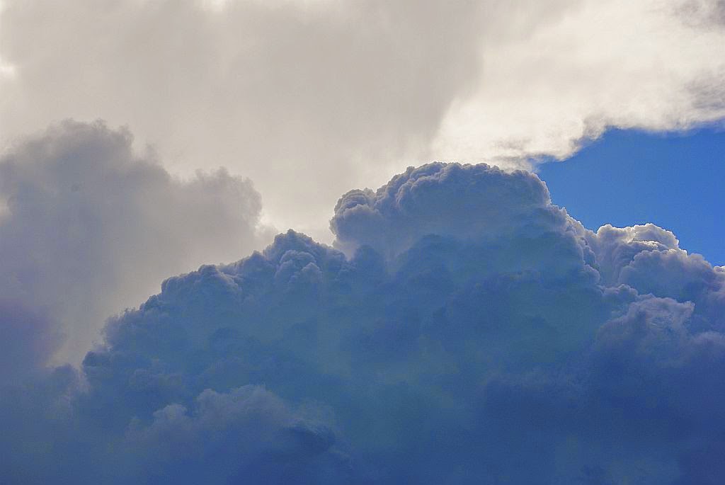 Mossel Bay Weather Observation, South Africa Real Time Weather