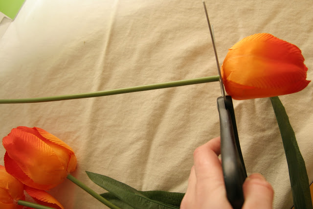 Mimpa y yo: Flores para el baño