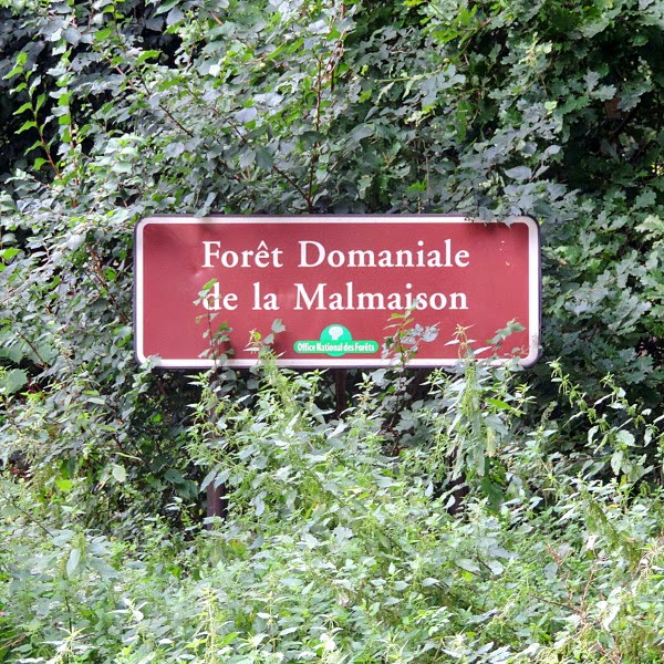 Balade en foret (Rueil-malmaison)
