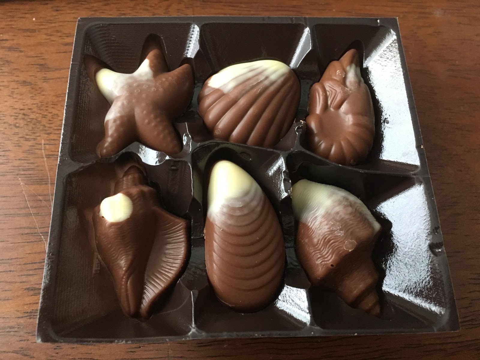 Adorable Fluff Melbon. Chocolate Sea Shells Review.