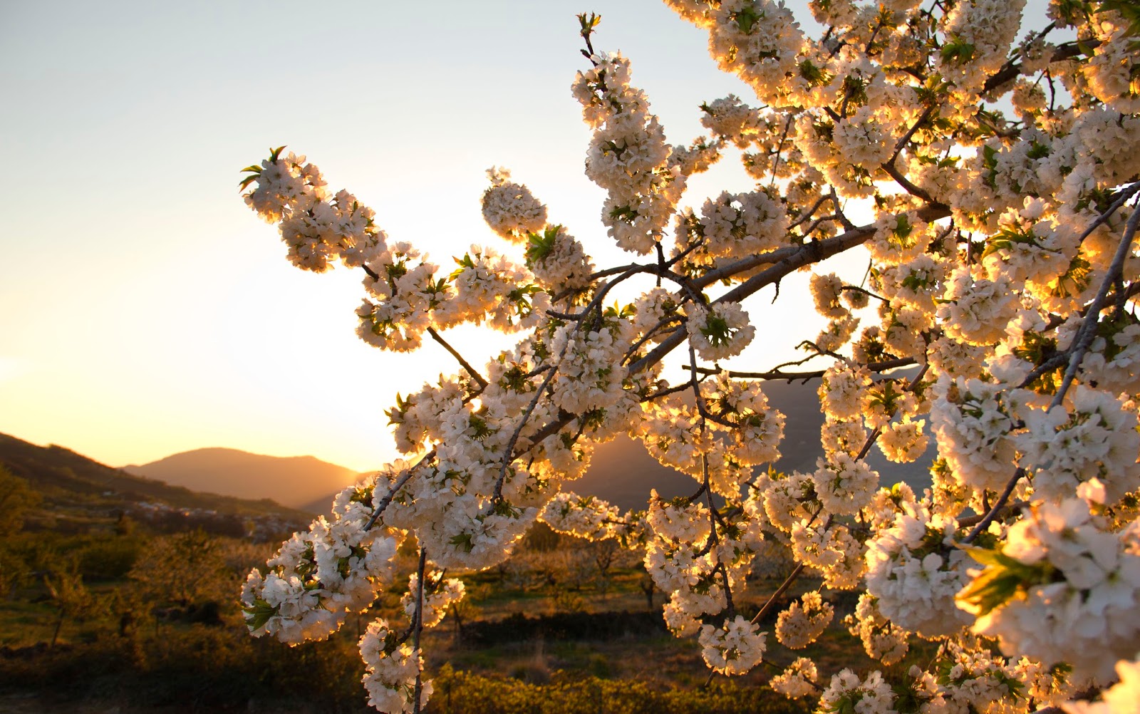 Instantes, fotos de Sebastián Navarrete Cerezos