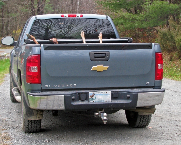 ActionshotsNH Youth Hunting Weekend Vermont