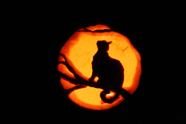 cheshire black grumpy kitty cat jack o lantern pattern stencils