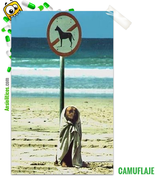 Chiste de Perros: Camuflaje