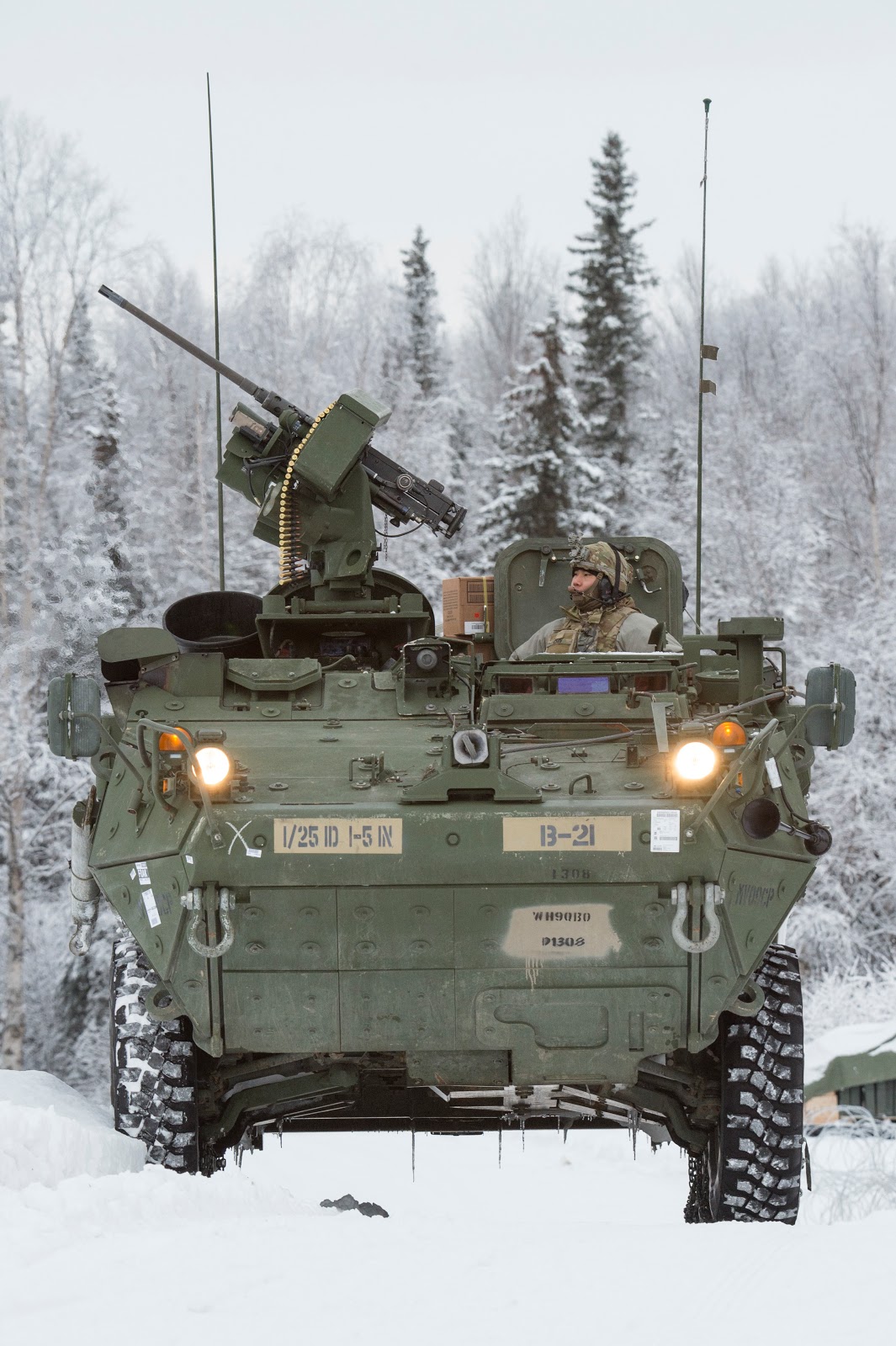 операция ирбис