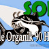 SOP Lele Organik Panen 90 hari